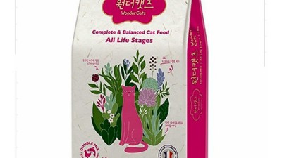우리 동네 길고양이 종류 알아보기: 냥냥이 입양 전 필수 가이드!